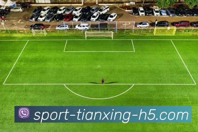 天行体育平台生态图