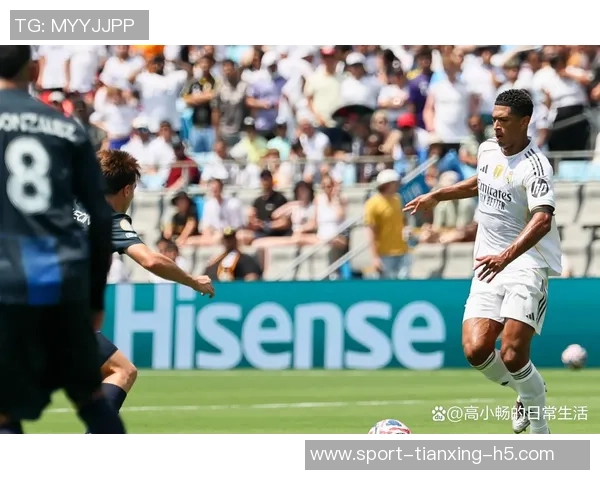 米体报道欧洲俱乐部协会年度大会中小俱乐部忧心欧冠影响意甲生存